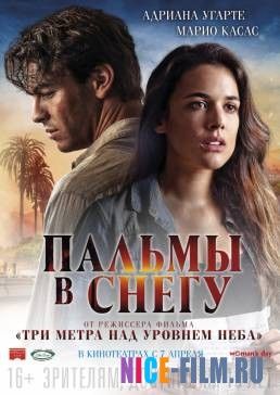 Пальмы в снегу (2016)