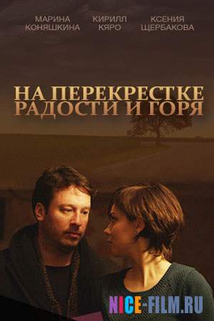 На перекрестке радости и горя (2016)