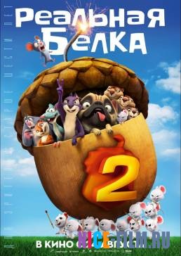 Реальная белка 2 (2017)