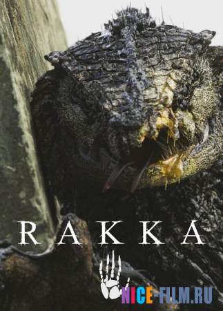 Ракка (2017)